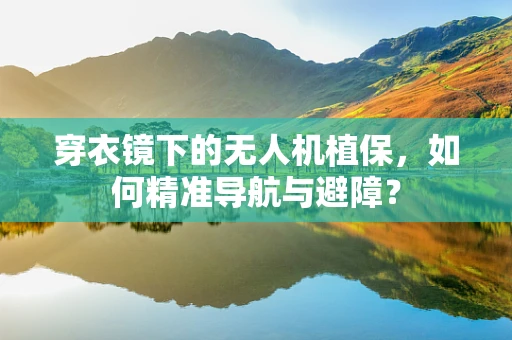 穿衣镜下的无人机植保，如何精准导航与避障？