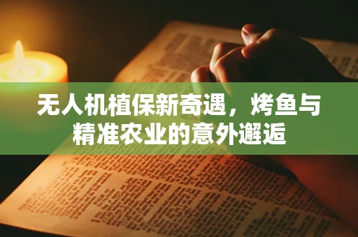 无人机植保新奇遇，烤鱼与精准农业的意外邂逅