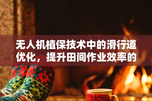 无人机植保技术中的滑行道优化，提升田间作业效率的关键