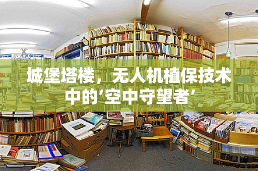 城堡塔楼，无人机植保技术中的‘空中守望者’