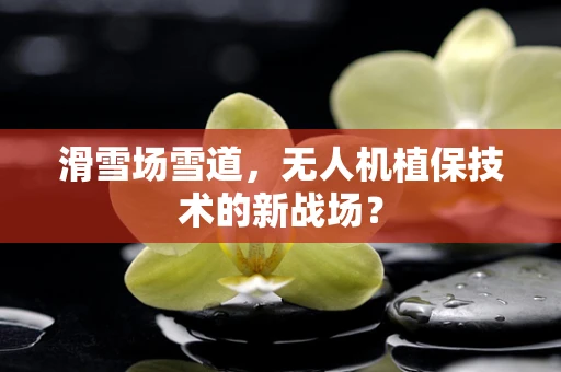 滑雪场雪道，无人机植保技术的新战场？
