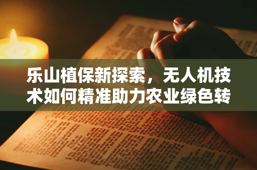 乐山植保新探索，无人机技术如何精准助力农业绿色转型？