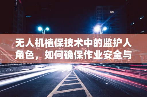 无人机植保技术中的监护人角色，如何确保作业安全与效率？