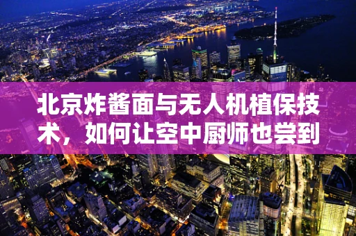 北京炸酱面与无人机植保技术，如何让空中厨师也尝到地道的京味？