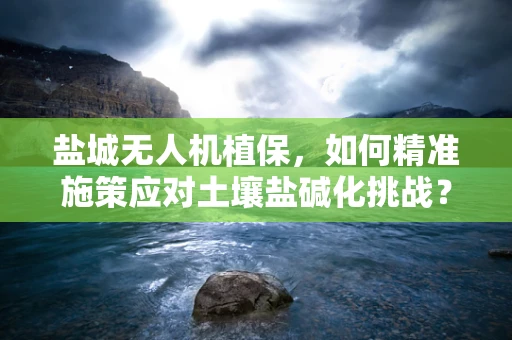 盐城无人机植保，如何精准施策应对土壤盐碱化挑战？