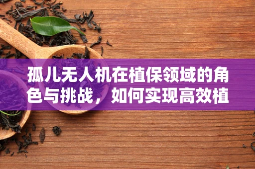 孤儿无人机在植保领域的角色与挑战，如何实现高效植保的精准对接？