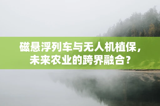 磁悬浮列车与无人机植保，未来农业的跨界融合？