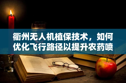 衢州无人机植保技术，如何优化飞行路径以提升农药喷洒效率？