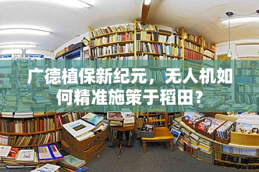 广德植保新纪元，无人机如何精准施策于稻田？