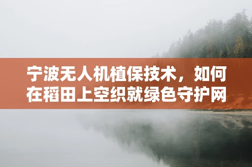 宁波无人机植保技术，如何在稻田上空织就绿色守护网？