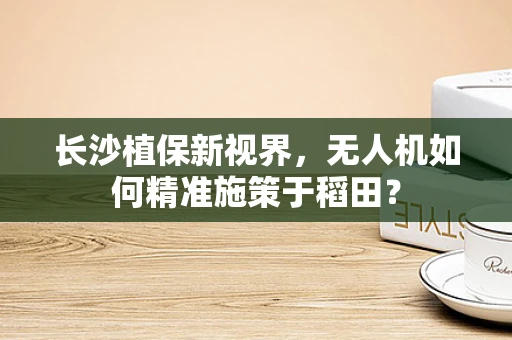 长沙植保新视界，无人机如何精准施策于稻田？