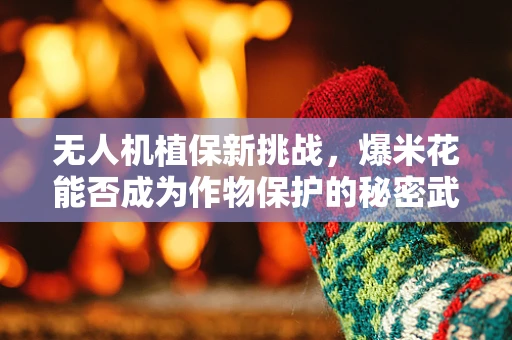 无人机植保新挑战，爆米花能否成为作物保护的秘密武器？