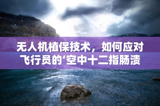 无人机植保技术，如何应对飞行员的‘空中十二指肠溃疡’？