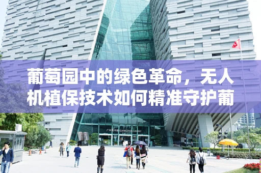 葡萄园中的绿色革命，无人机植保技术如何精准守护葡萄的甜蜜？