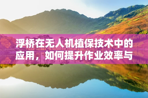 浮桥在无人机植保技术中的应用，如何提升作业效率与精准度？