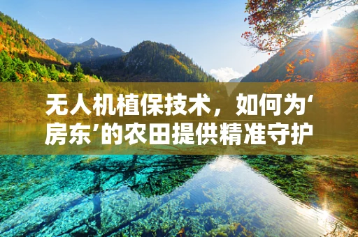 无人机植保技术，如何为‘房东’的农田提供精准守护？