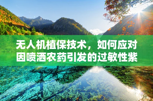 无人机植保技术，如何应对因喷洒农药引发的过敏性紫癜问题？