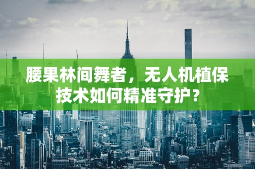 腰果林间舞者，无人机植保技术如何精准守护？