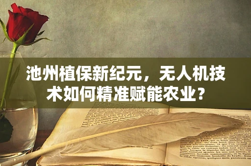 池州植保新纪元，无人机技术如何精准赋能农业？