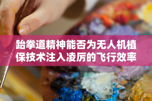 跆拳道精神能否为无人机植保技术注入凌厉的飞行效率？