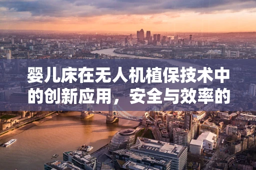 婴儿床在无人机植保技术中的创新应用，安全与效率的完美平衡？
