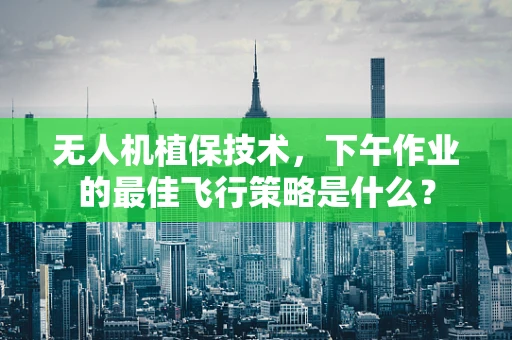 无人机植保技术，下午作业的最佳飞行策略是什么？