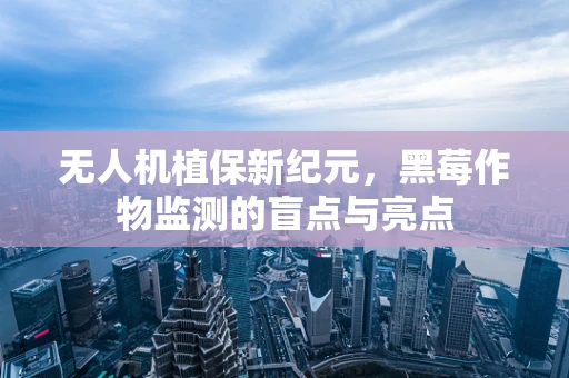无人机植保新纪元，黑莓作物监测的盲点与亮点