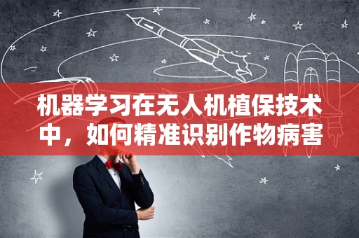 机器学习在无人机植保技术中，如何精准识别作物病害？