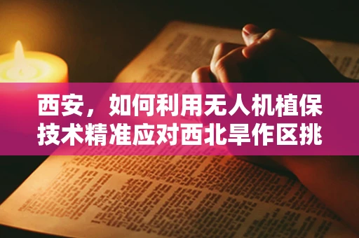 西安，如何利用无人机植保技术精准应对西北旱作区挑战？