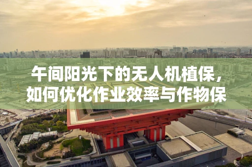 午间阳光下的无人机植保，如何优化作业效率与作物保护？