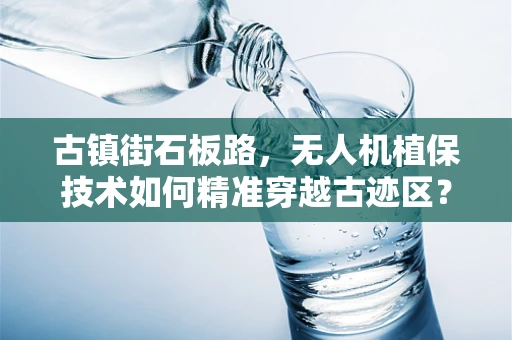 古镇街石板路，无人机植保技术如何精准穿越古迹区？