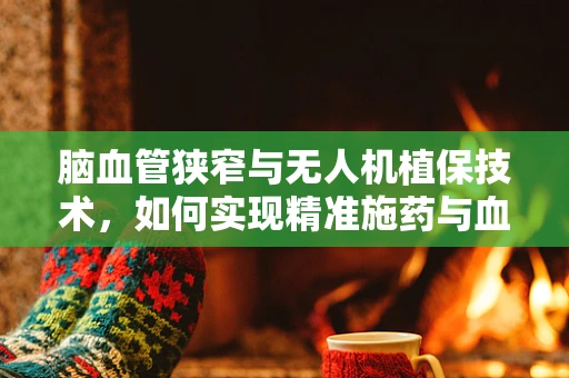 脑血管狭窄与无人机植保技术，如何实现精准施药与血管健康监测的双重挑战？