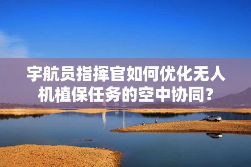 宇航员指挥官如何优化无人机植保任务的空中协同？