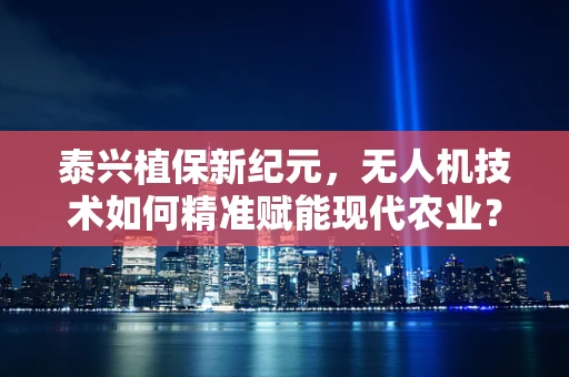 泰兴植保新纪元，无人机技术如何精准赋能现代农业？