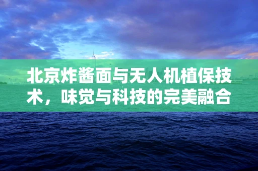 北京炸酱面与无人机植保技术，味觉与科技的完美融合？