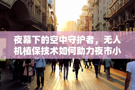 夜幕下的空中守护者，无人机植保技术如何助力夜市小吃安全？