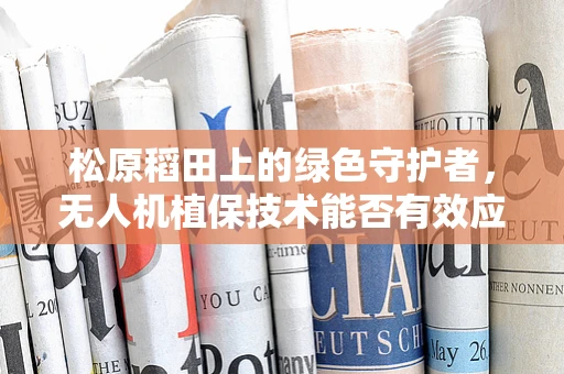 松原稻田上的绿色守护者，无人机植保技术能否有效应对东北黑土区的挑战？