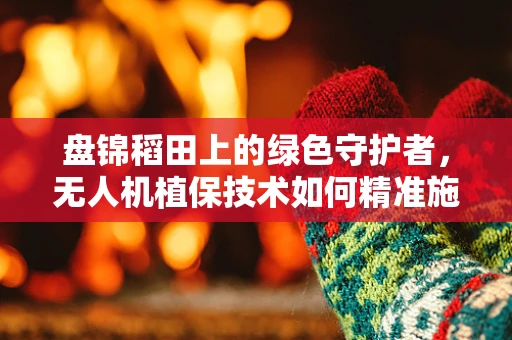 盘锦稻田上的绿色守护者，无人机植保技术如何精准施策？