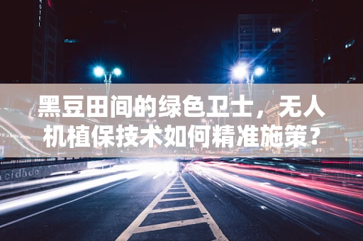 黑豆田间的绿色卫士，无人机植保技术如何精准施策？