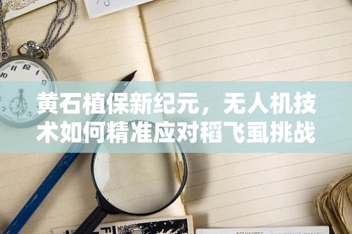 黄石植保新纪元，无人机技术如何精准应对稻飞虱挑战？