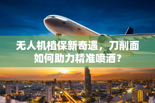 无人机植保新奇遇，刀削面如何助力精准喷洒？
