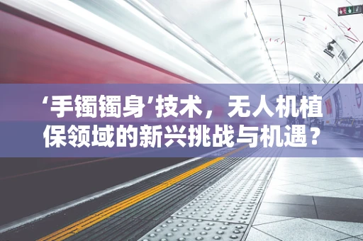 ‘手镯镯身’技术，无人机植保领域的新兴挑战与机遇？