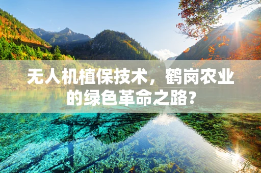 无人机植保技术，鹤岗农业的绿色革命之路？