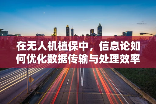 在无人机植保中，信息论如何优化数据传输与处理效率？