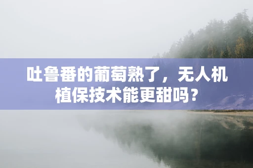 吐鲁番的葡萄熟了，无人机植保技术能更甜吗？