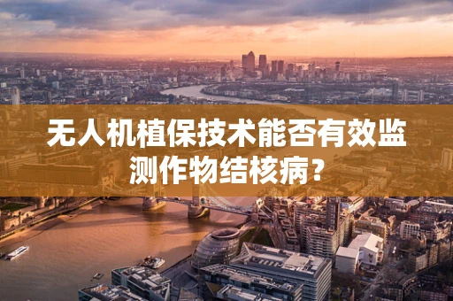 无人机植保技术能否有效监测作物结核病？