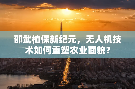 邵武植保新纪元，无人机技术如何重塑农业面貌？
