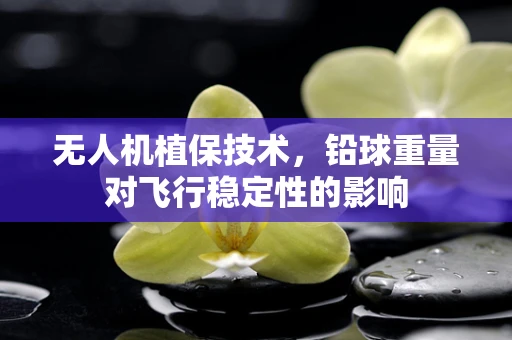 无人机植保技术，铅球重量对飞行稳定性的影响