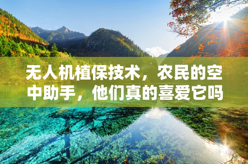 无人机植保技术，农民的空中助手，他们真的喜爱它吗？
