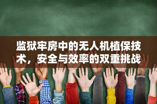 监狱牢房中的无人机植保技术，安全与效率的双重挑战